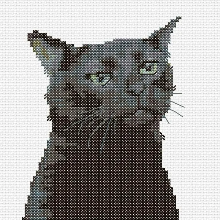 Tom